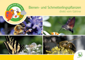 Broschüre "Bienen- und Schmetterlingspflanzen"