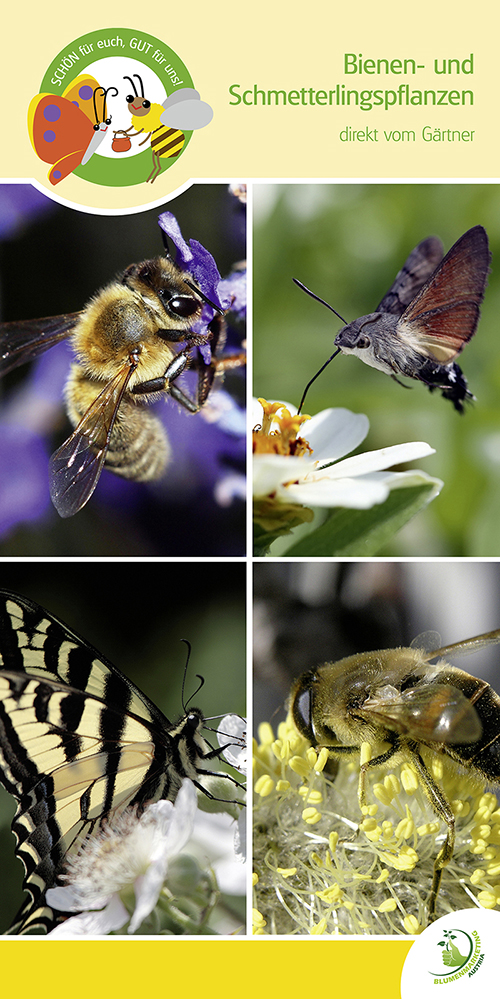 Deckenhänger "Bienen- und Schmetterlingspflanzen"