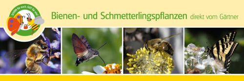 PVC-Outdoorbanner "Bienen- und Schmetterlingspflanzen"
