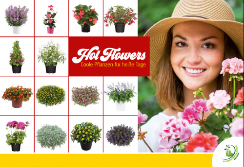 Broschüre "Hot Flowers - Coole Pflanzen für heiße Tage"