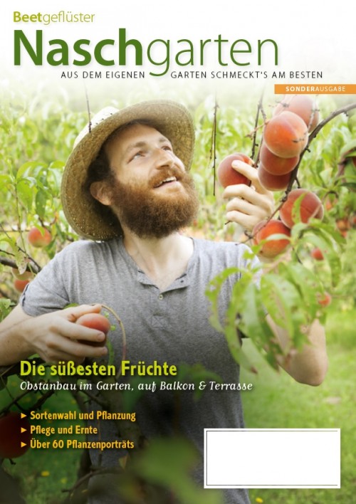 Beetgeflüster Naschgarten